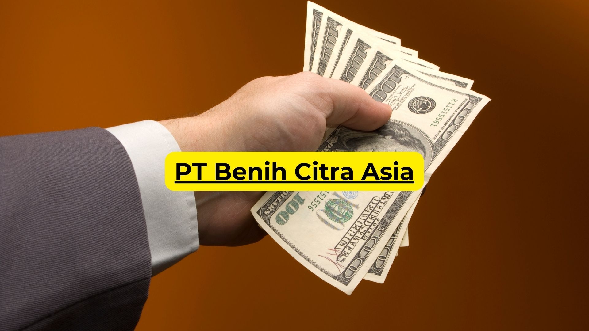 PT Benih Citra Asia