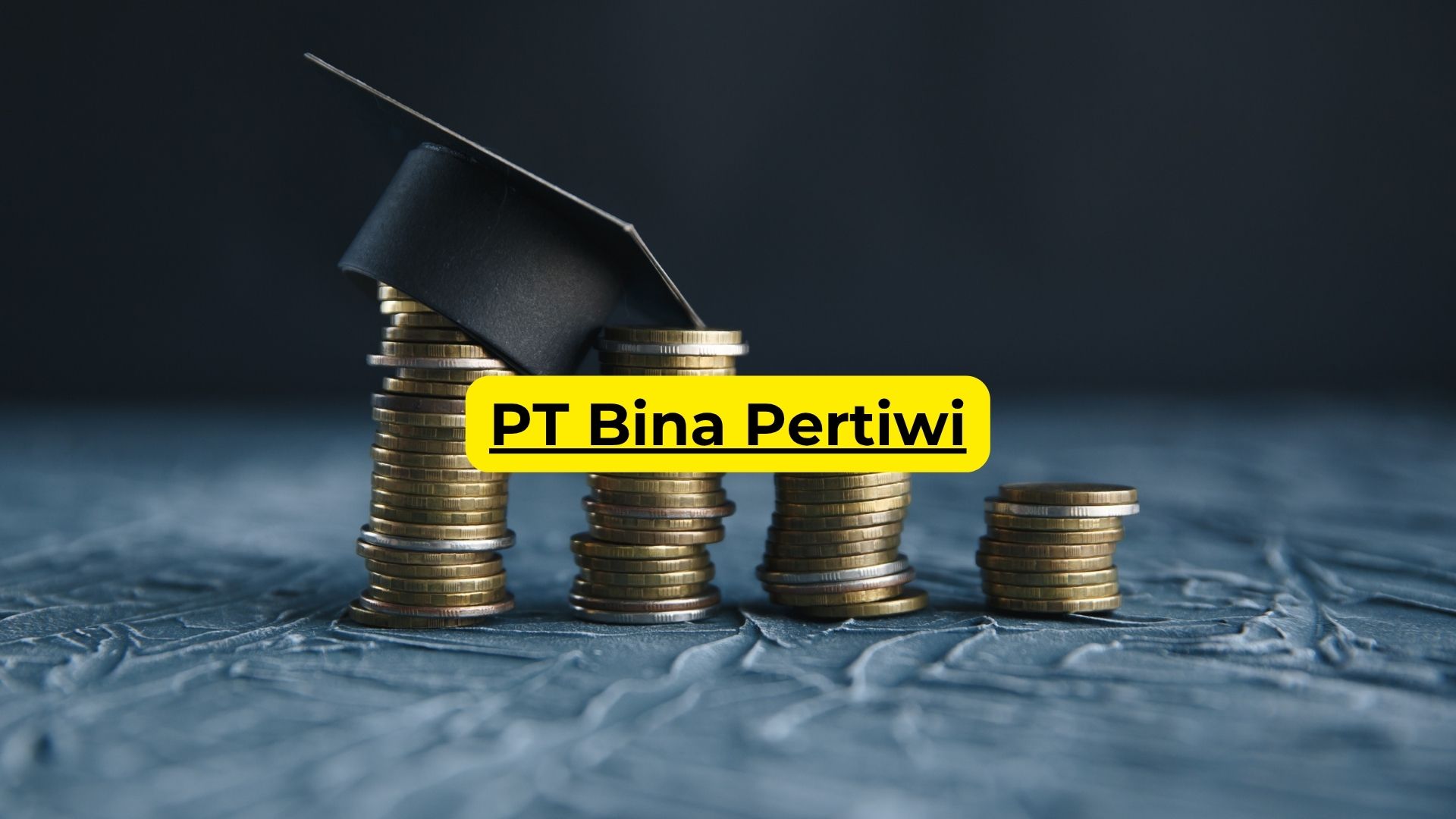 PT Bina Pertiwi