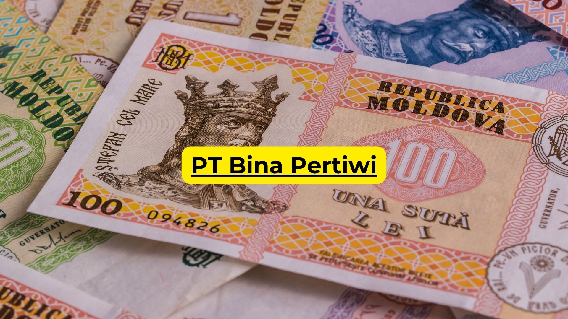PT Bina Pertiwi