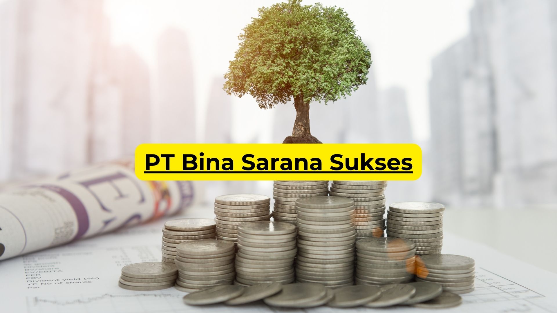 PT Bina Sarana Sukses