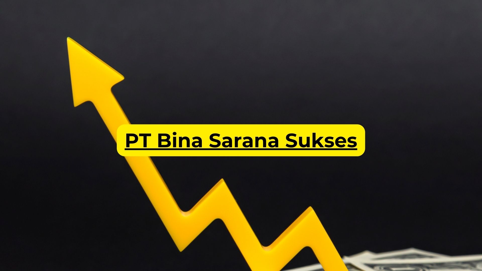 PT Bina Sarana Sukses