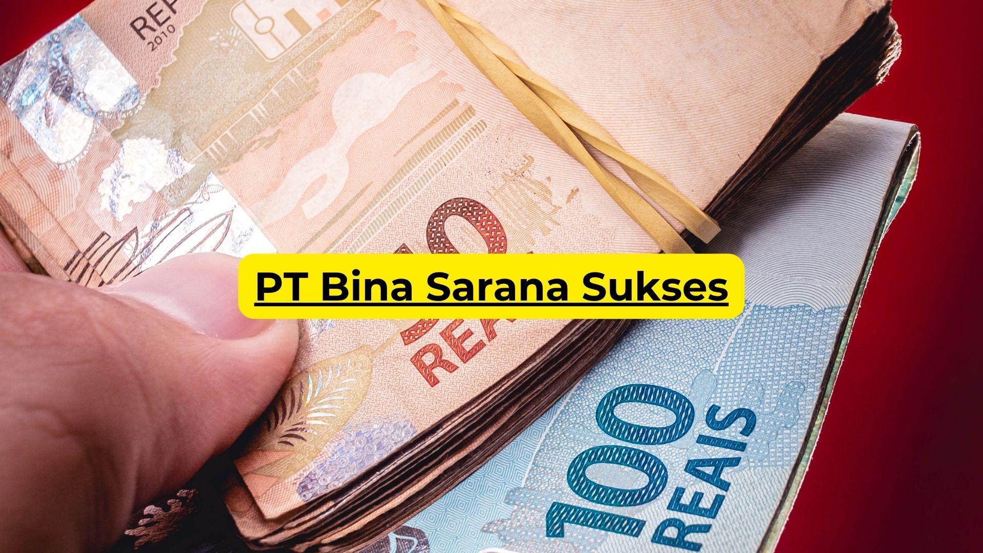 PT Bina Sarana Sukses