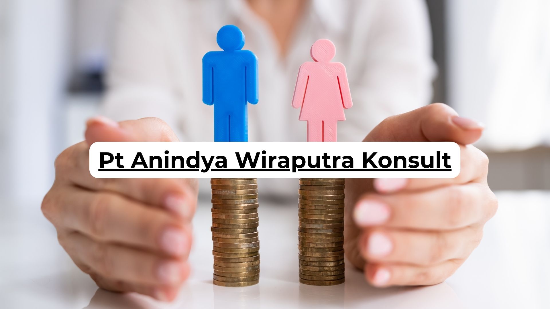 Pt Anindya Wiraputra Konsult