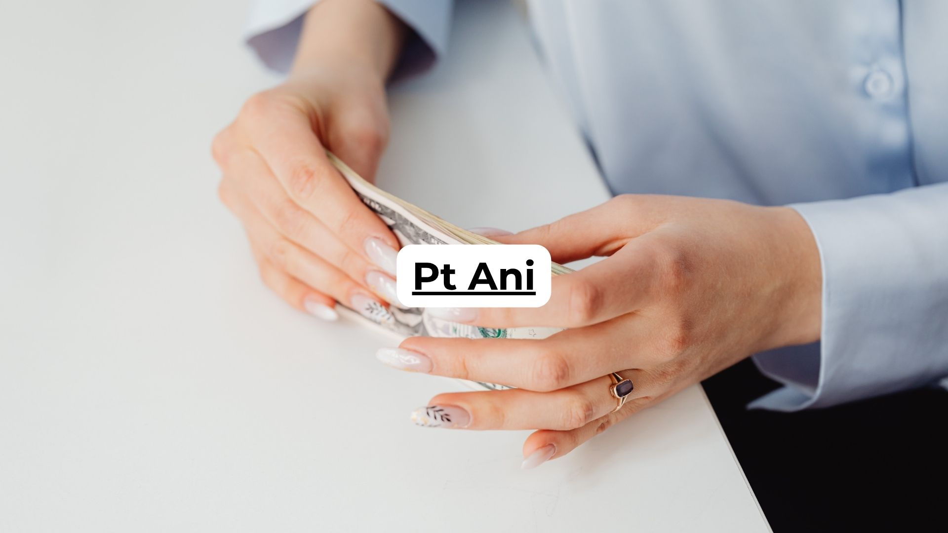 Pt Ani