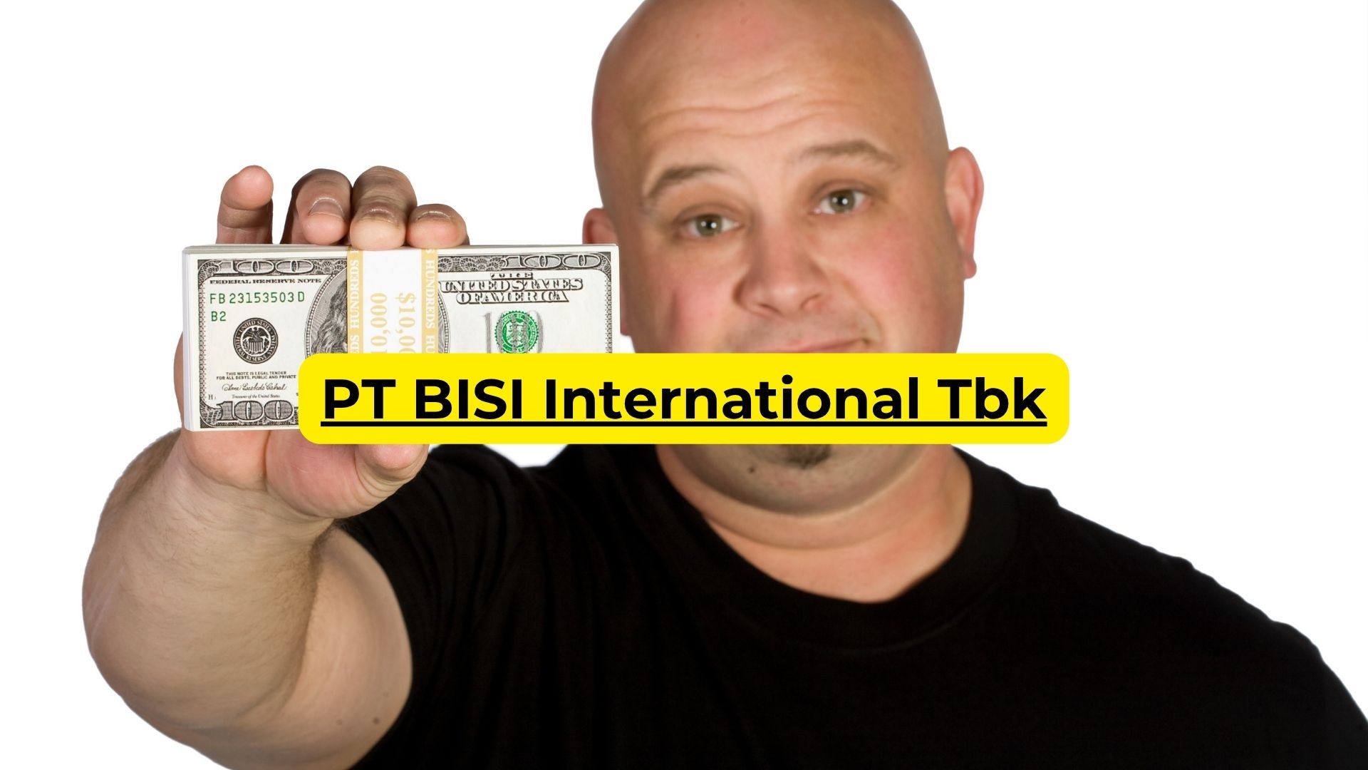 PT BISI International Tbk