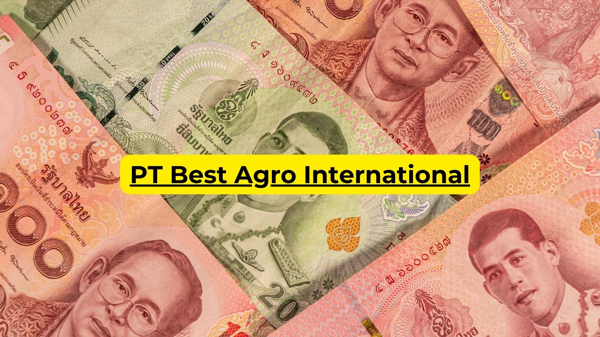 PT Best Agro International