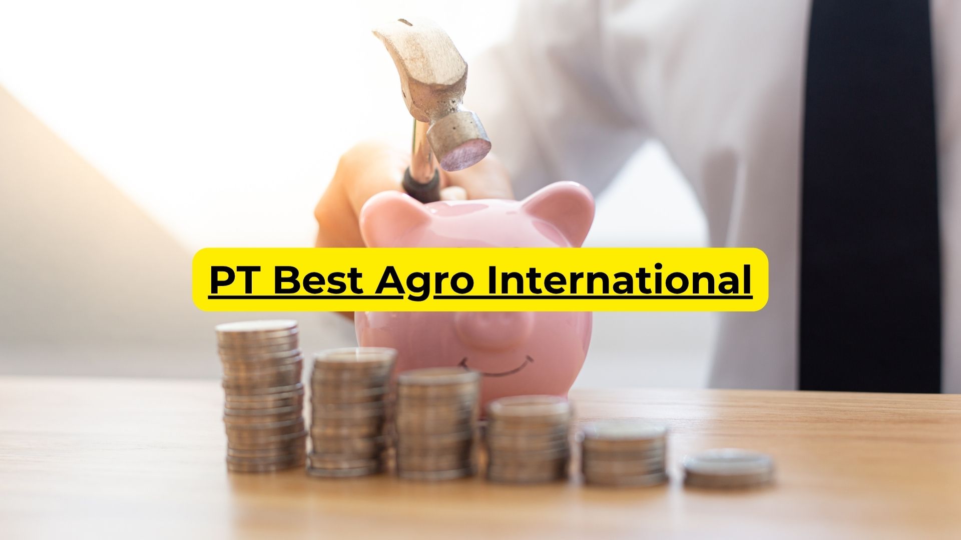 PT Best Agro International