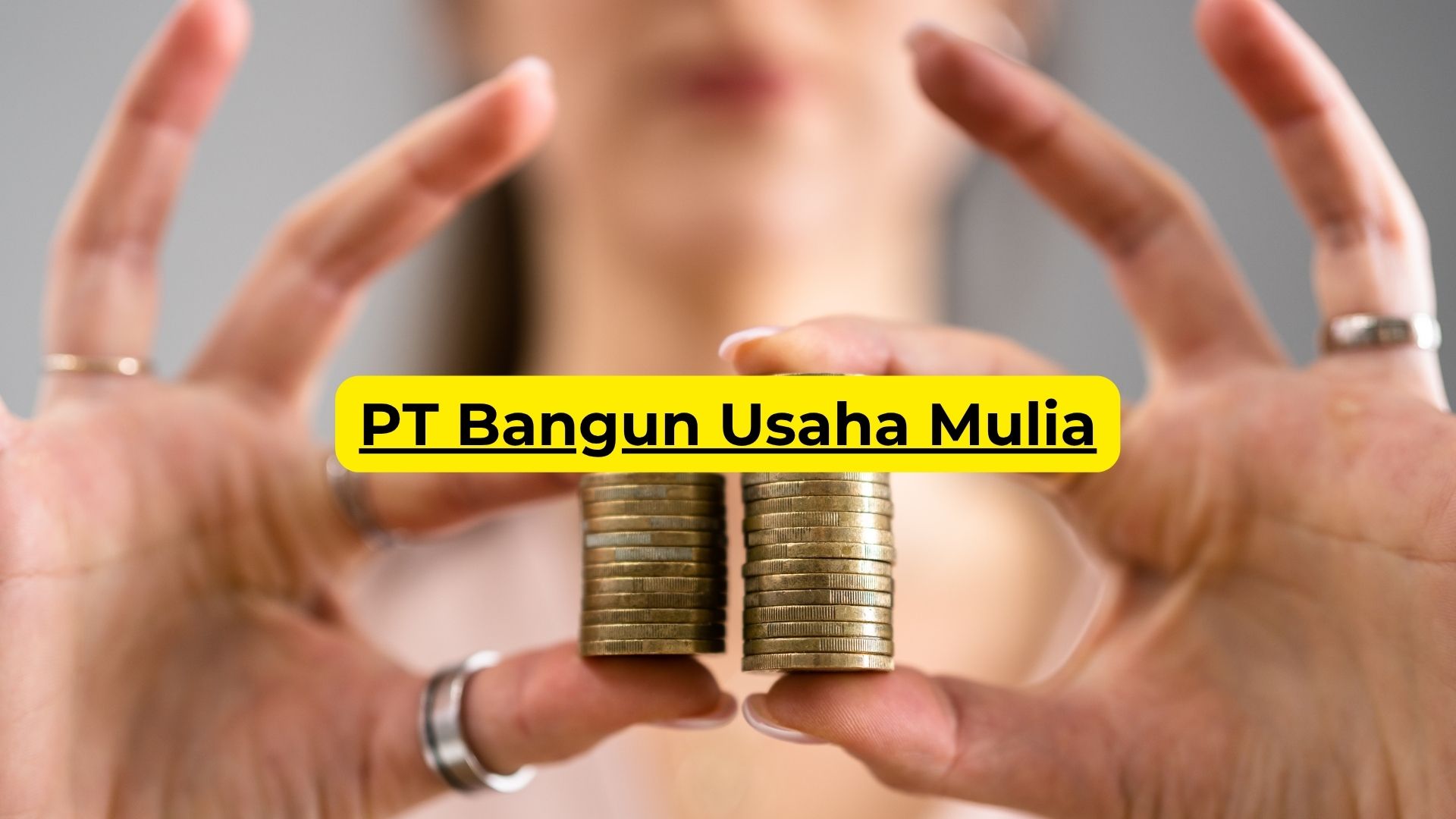 PT Bangun Usaha Mulia