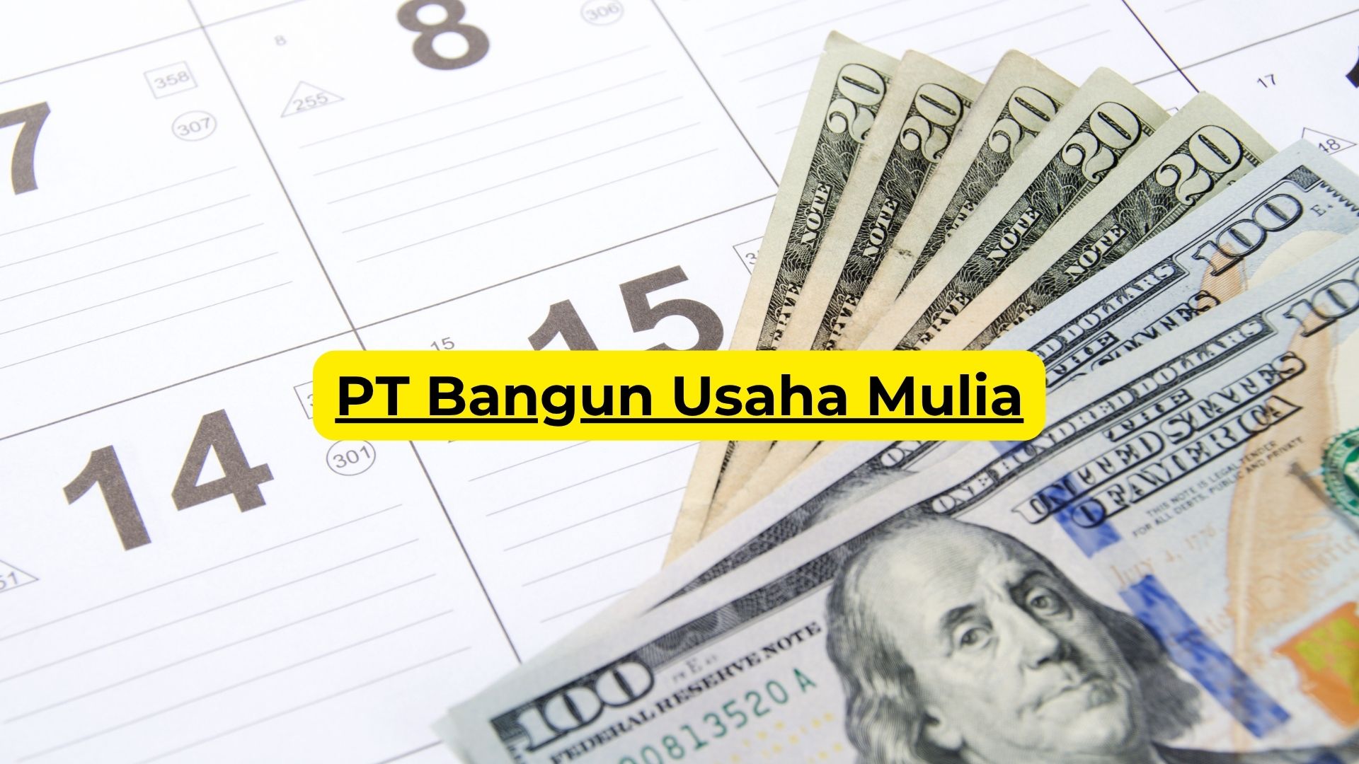 PT Bangun Usaha Mulia