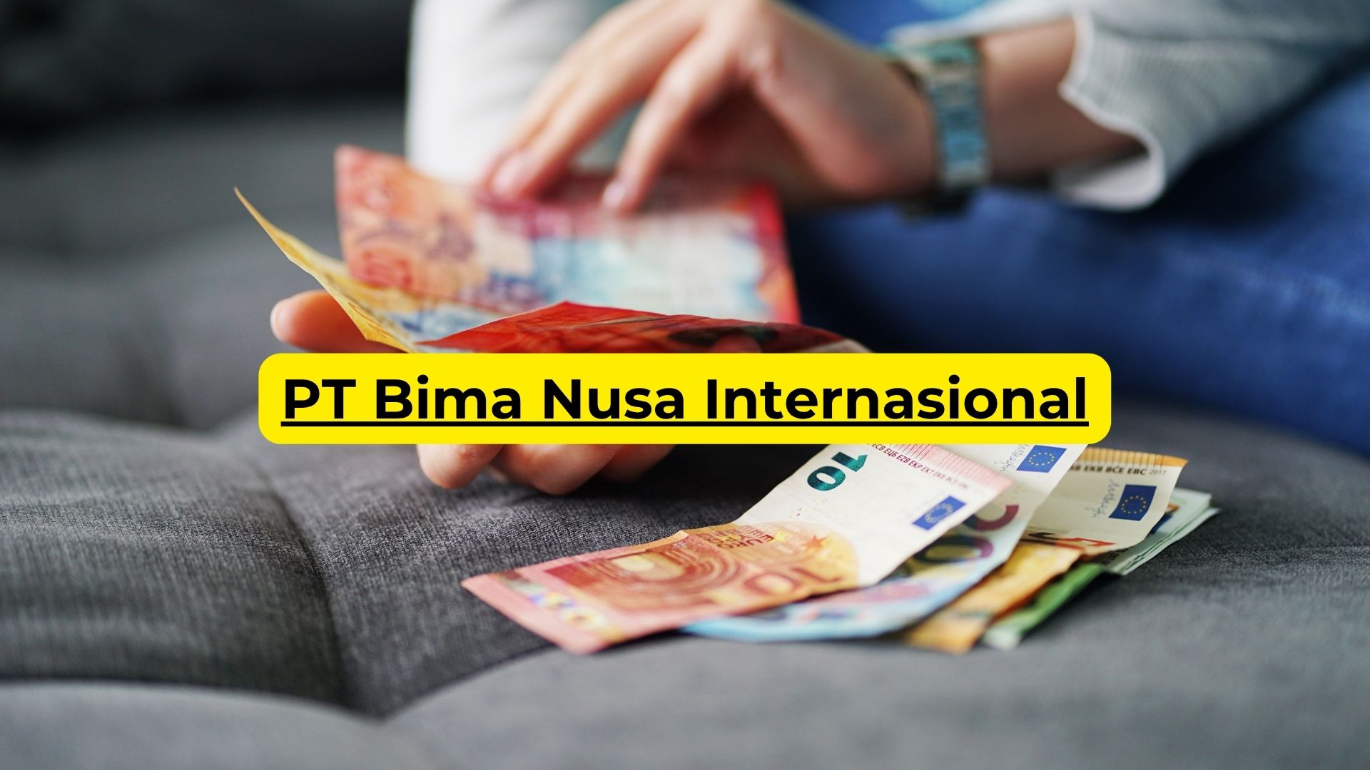 PT Bima Nusa Internasional